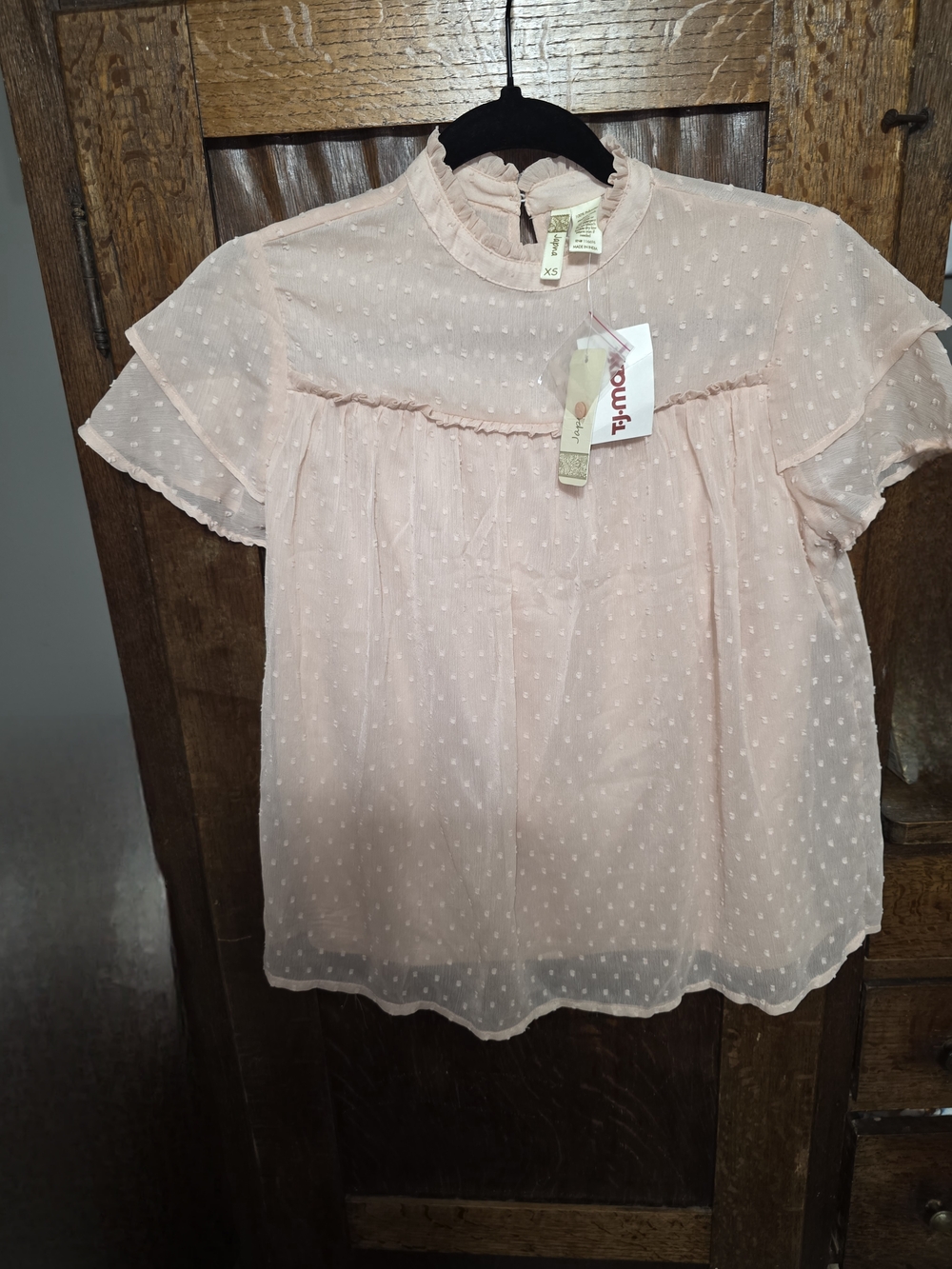 Japna Light Pink Swiss Dot Ruffle Neck Blouse